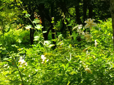 photo_20250718-135550