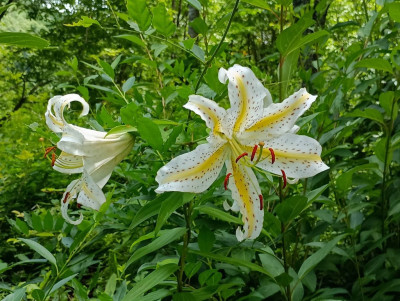 photo_20250718-135550_6