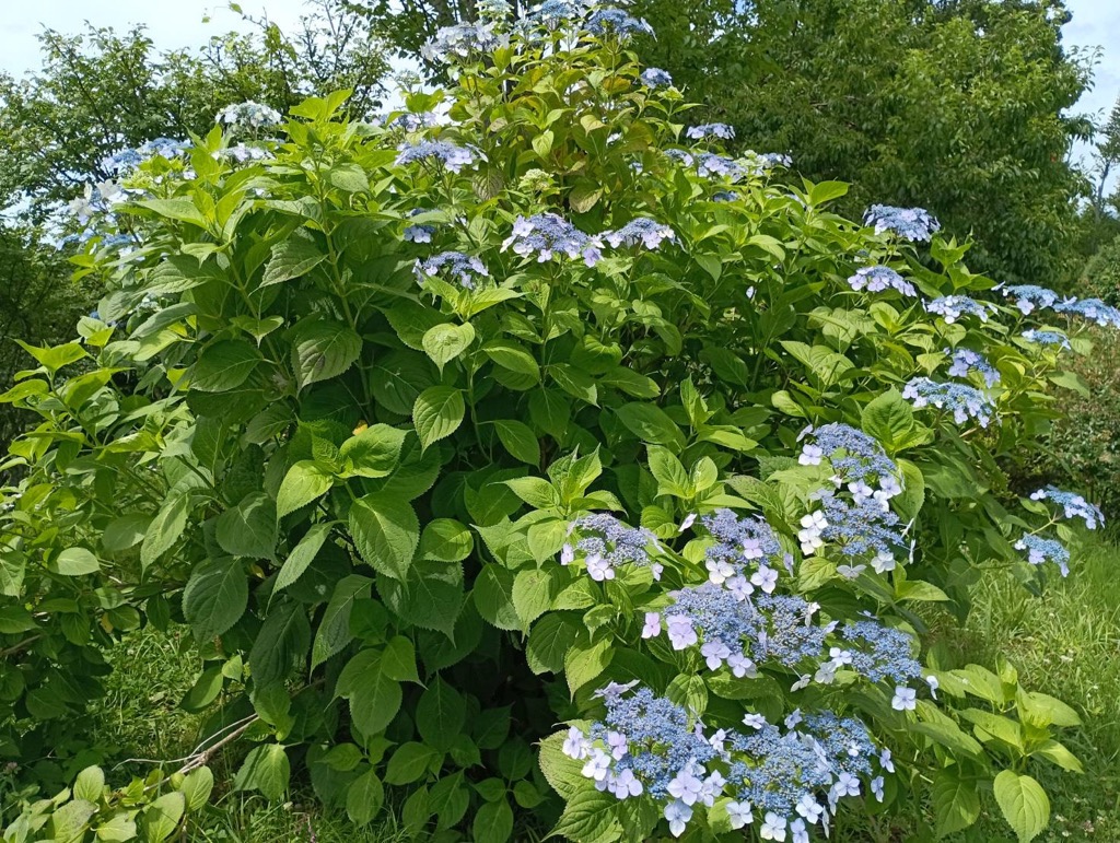photo_20250718-135550_4