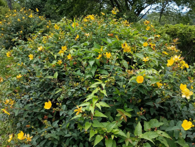 photo_20250718-135550_3