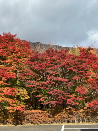 photo_20251110-084423_2