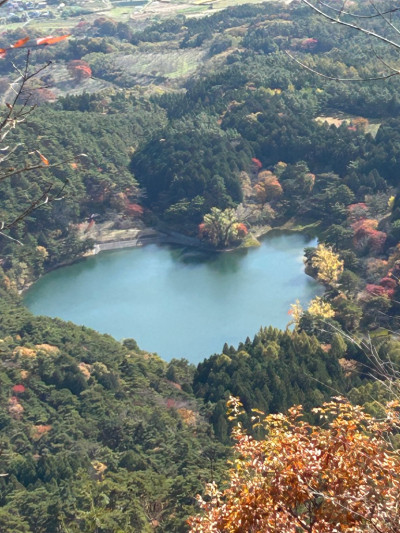 photo_20251110-084423_3