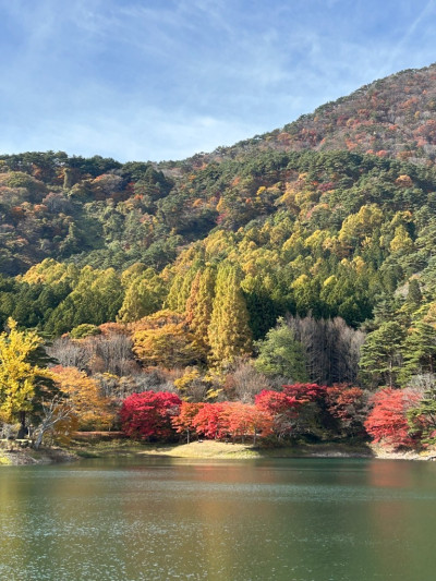 photo_20251110-084423_4