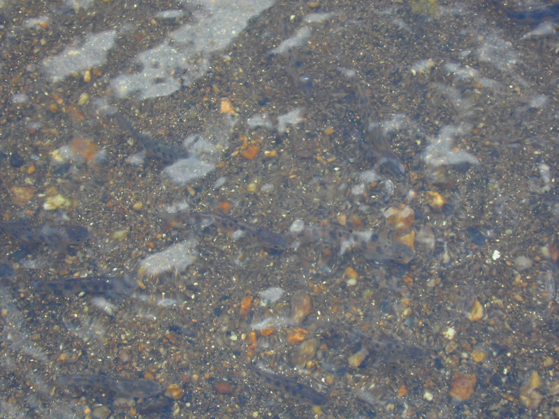 CIMG0128