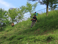 IMG_9811